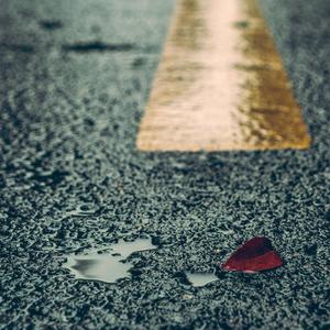 越南男人操女人视频
